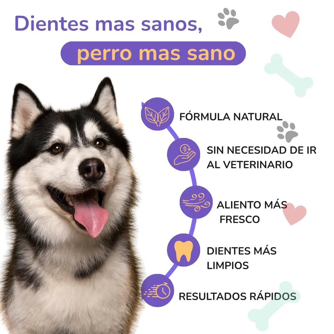 PawBreezy™ Aliento fresco al instante sin cepillado