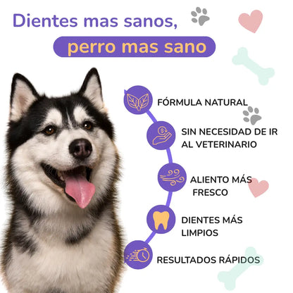 PawBreezy™ Aliento fresco al instante sin cepillado
